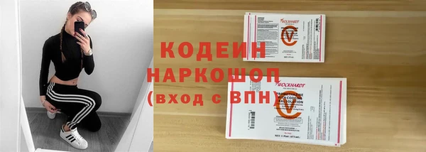 прущие крисы Заводоуковск