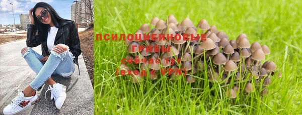 прущие крисы Заводоуковск