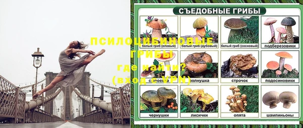 прущие крисы Заводоуковск