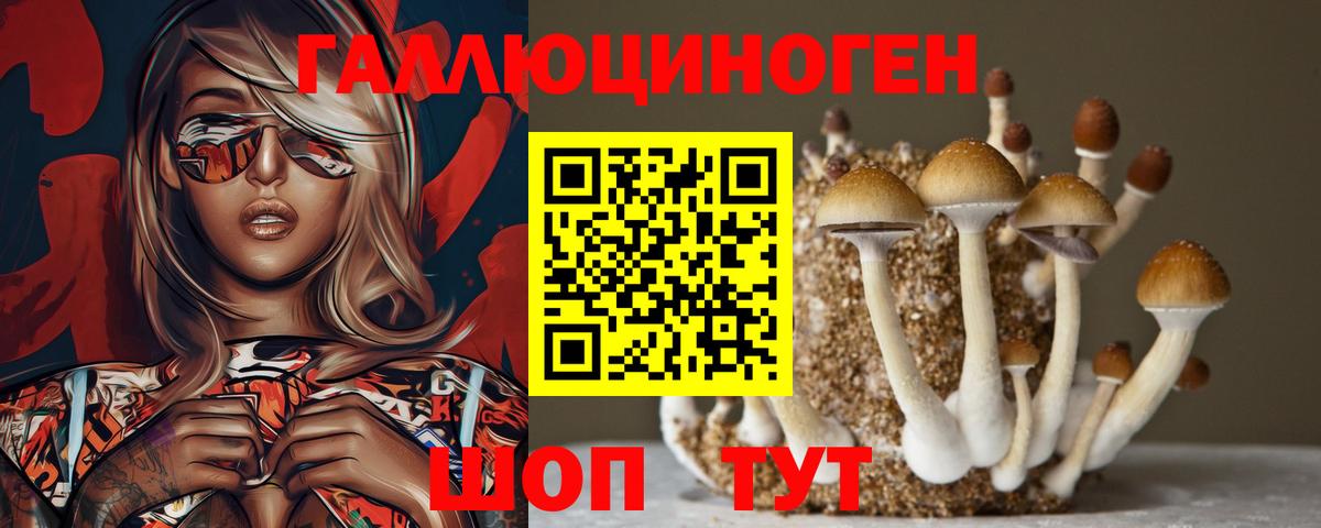 Калач-на-Дону  Псилоцибиновые грибы MAGIC MUSHROOMS  Галлюциногенные грибы мухоморы  Вход с VPN 