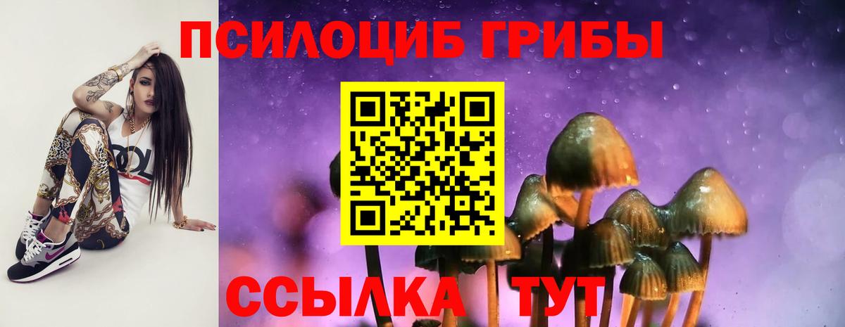 Галлюциногенные грибы прущие грибы Калач-на-Дону